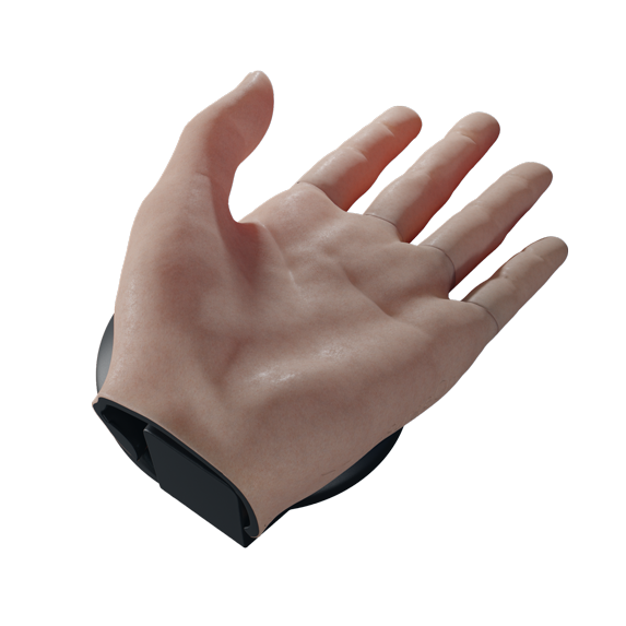 render-finger-dissection-v2-low.png