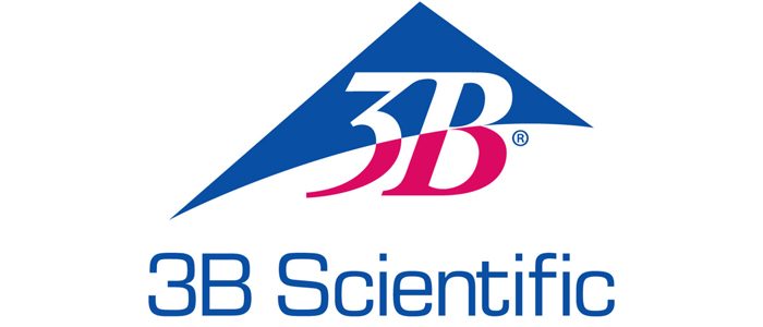 3b logo